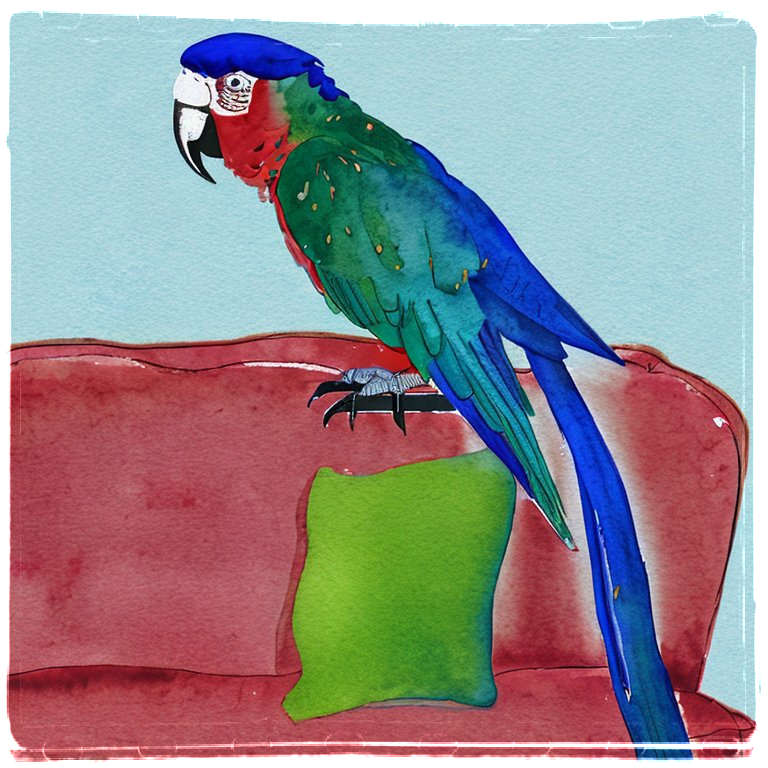 parrot on a sofa