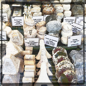 shop window with various French cheeses
